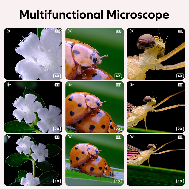 Mini mikroskop optyczny dla dz – Microscope Kids Science recenzja i cena